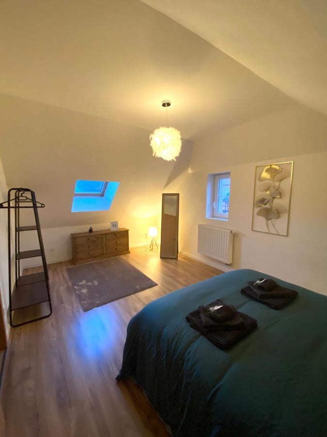 Duplex Moderne A 10 Minutes De Colmar Lejlighed Wintzenheim Eksteriør billede