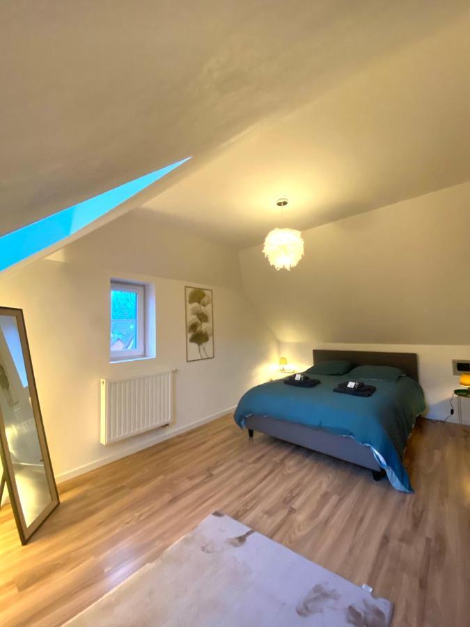 Duplex Moderne A 10 Minutes De Colmar Lejlighed Wintzenheim Eksteriør billede
